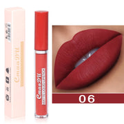 Long Lasting Velvet Matte Lip Gloss - MagicSkinTech