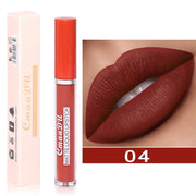 Long Lasting Velvet Matte Lip Gloss - MagicSkinTech