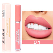 Long Lasting Velvet Matte Lip Gloss - MagicSkinTech